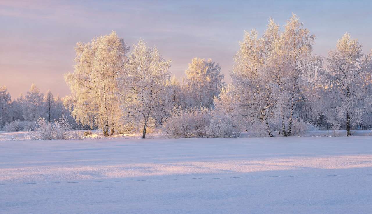 R&eacute;glages essentiels pour des clich&eacute;s r&eacute;ussis