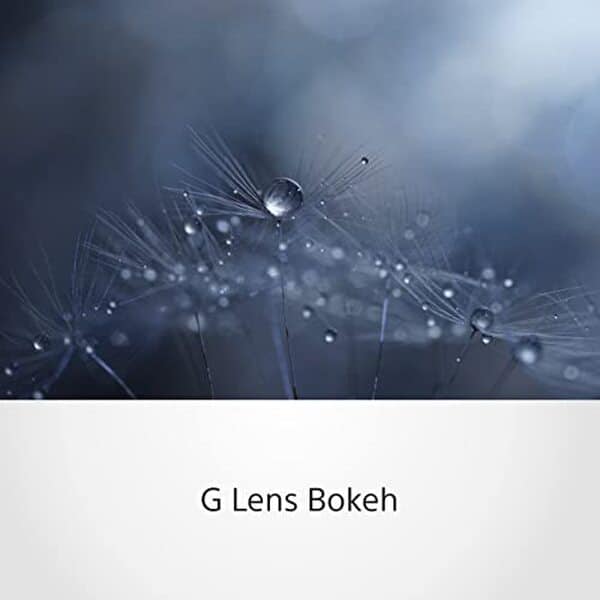 Explorez le test complet de l'objectif Sony G Macro 90 mm F2.8 pour évaluer ses performances incroyables, sa précision inégalée et son utilité pour la photographie macro de haute qualité.