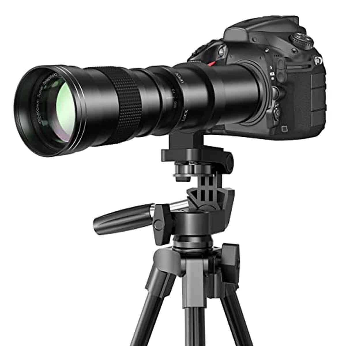 Test : téléobjectif Lightdow 420-800mm pour Canon EOS
