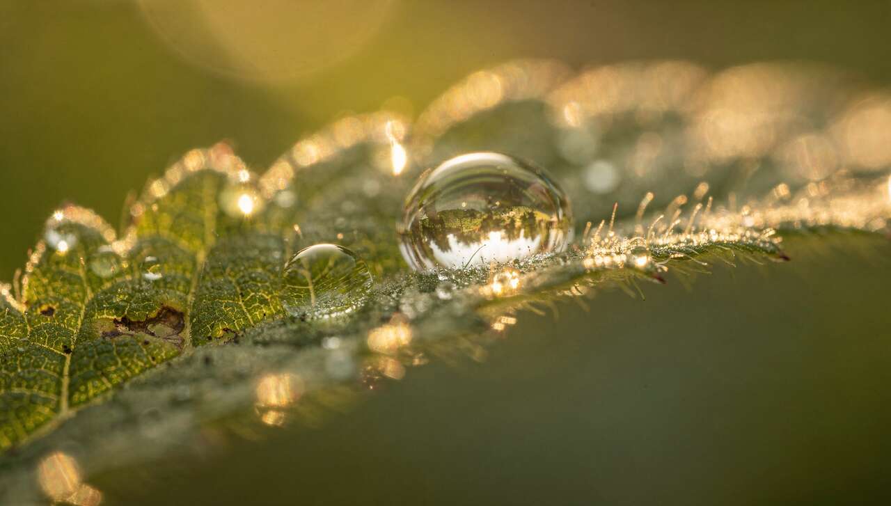 Exploiter la lumi&egrave;re pour des r&eacute;sultats saisissants