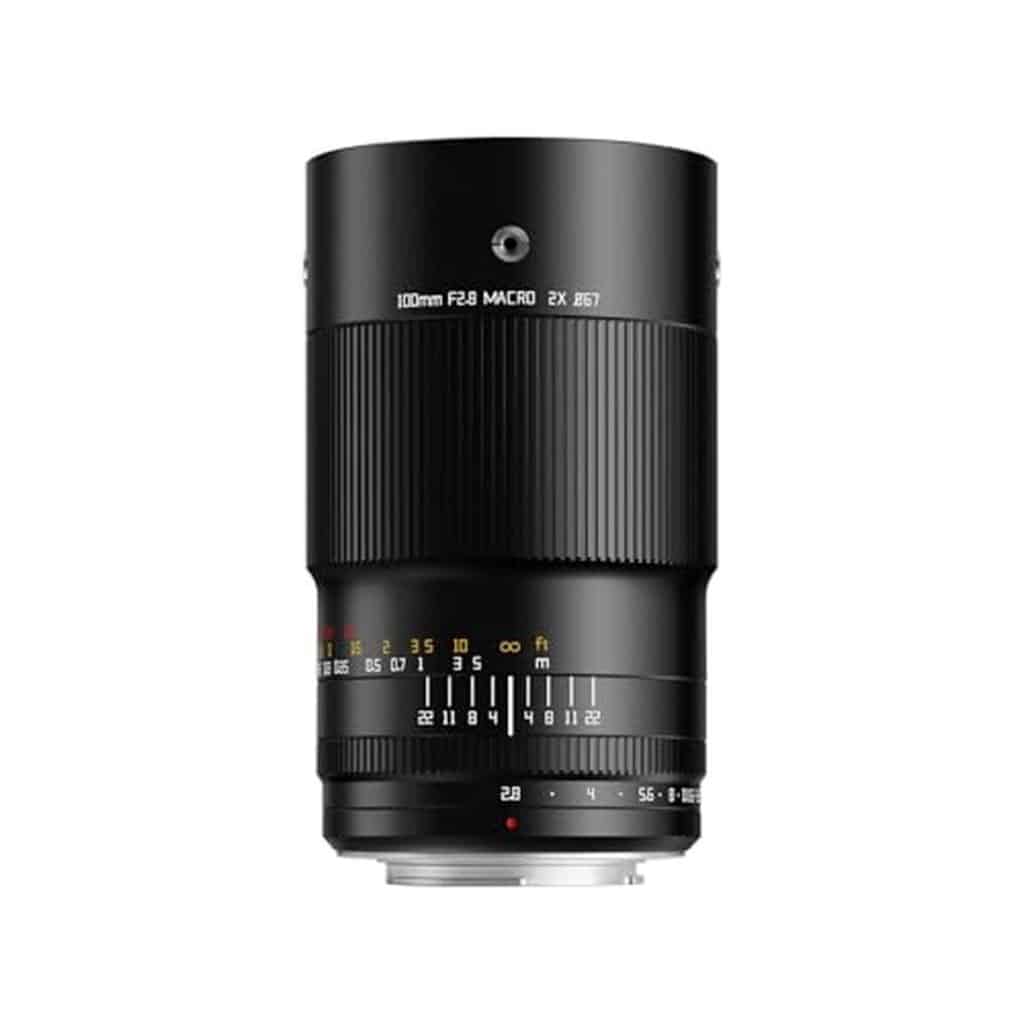 Test de l'objectif TTArtisan 100mm F2.8 macro 2X pour Canon EF