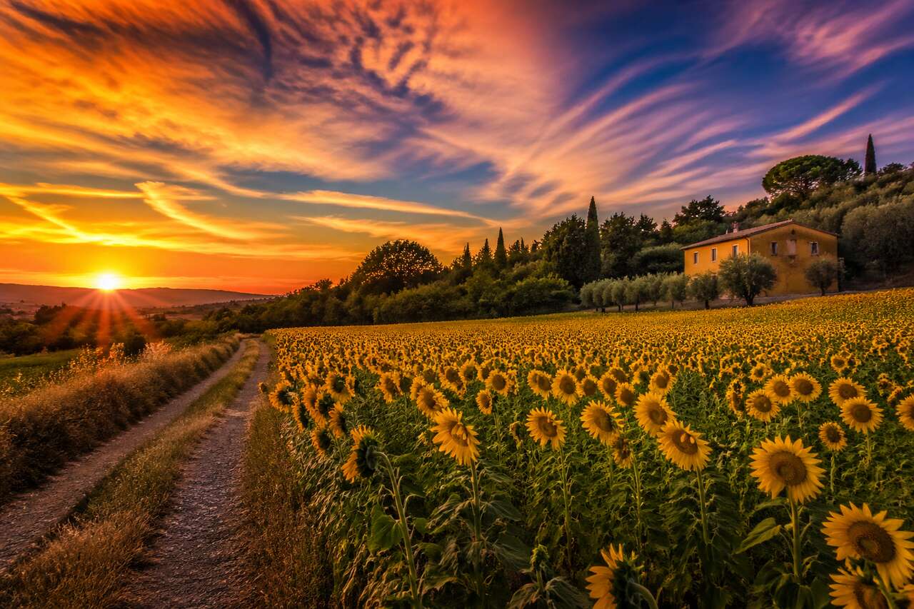 Exploration des couleurs et lumi&egrave;res