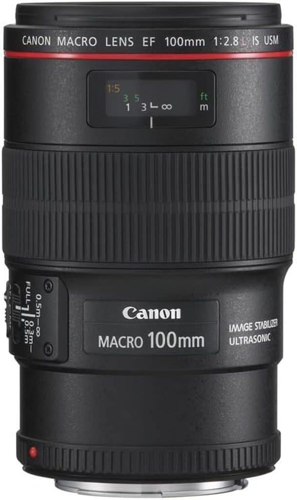 Test du macro-objectif Canon EF 100 mm f/2.8 L IS USM