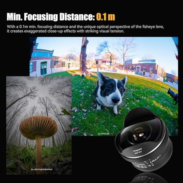 Découvrez notre test détaillé de l'objectif fisheye 7artisans 6 mm F2.0 pour montures MFT. Performances, qualité d'image et verdict final de cet ultra grand angle abordable. 