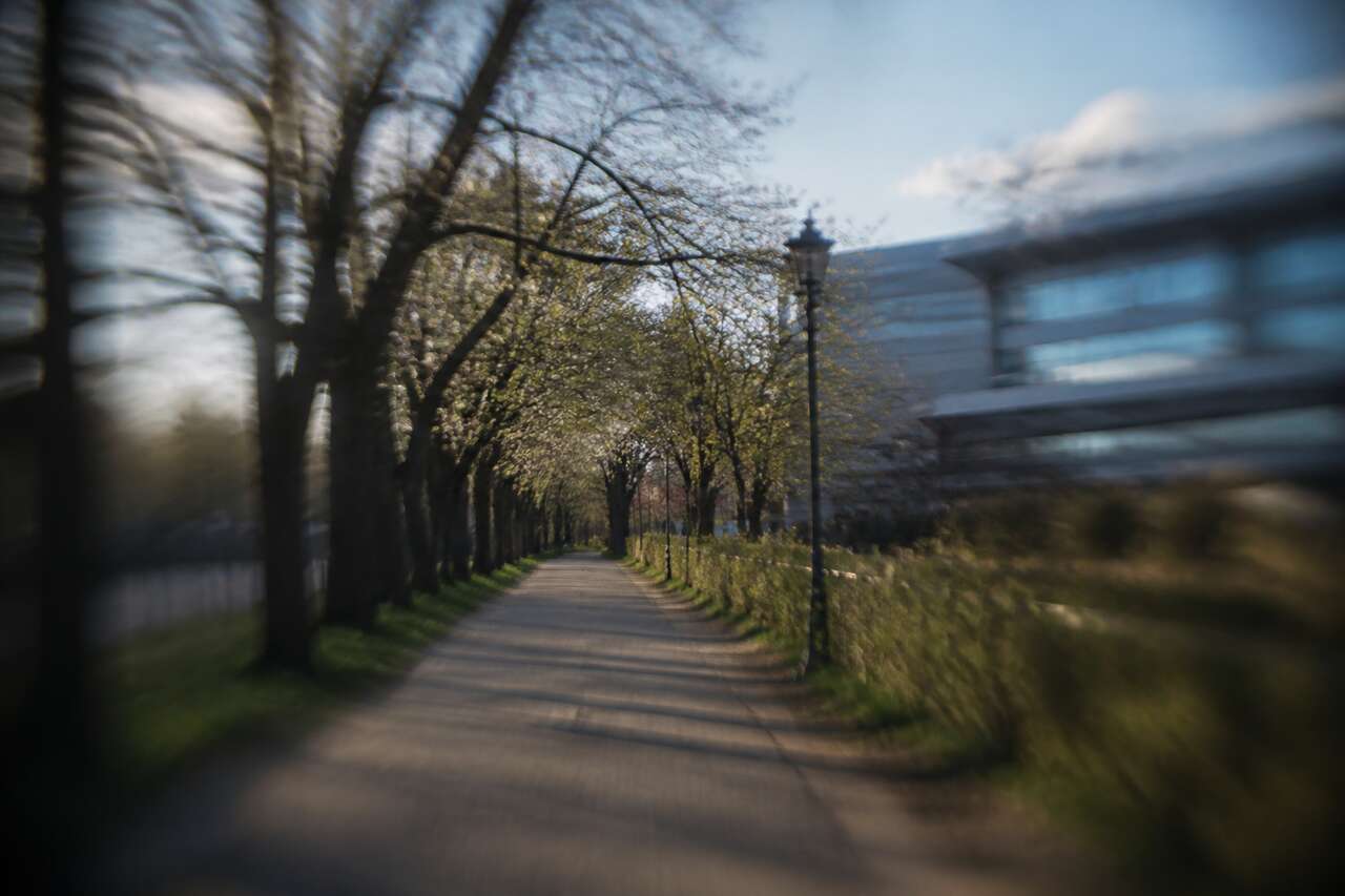 Astigmatisme en photographie : définition et impact sur l'image