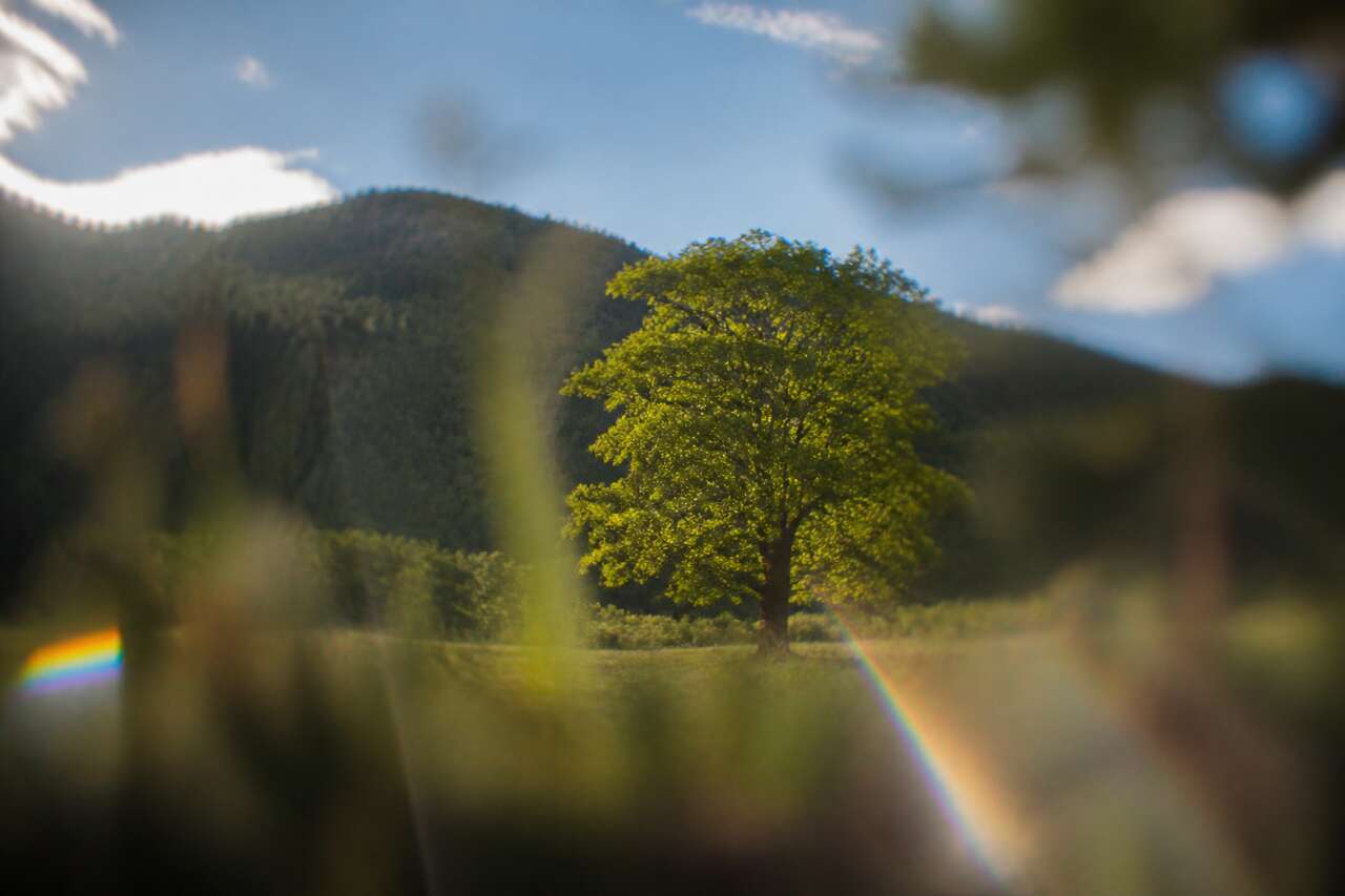 Aberration optique : définition et impact en photographie
