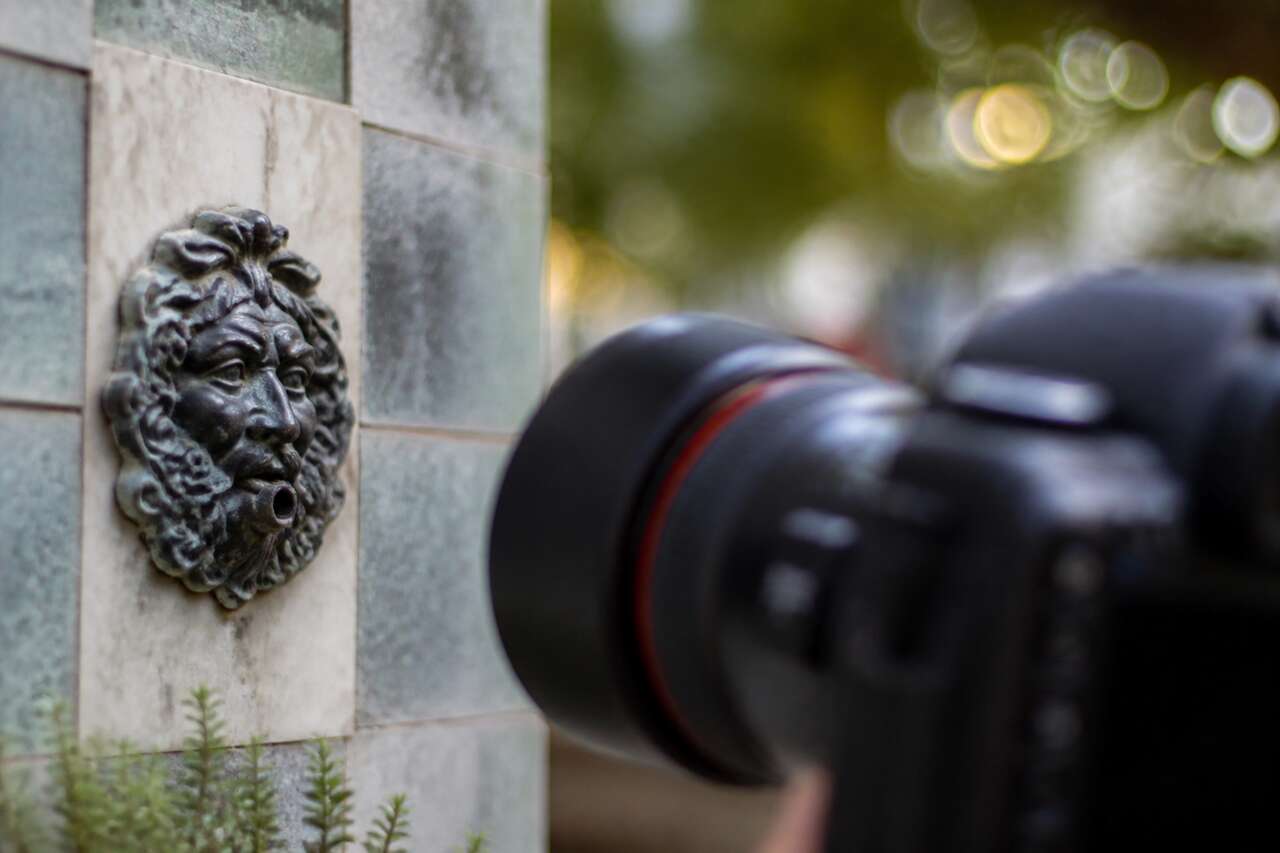 Impact en photographie: nettet&eacute;, contraste et bokeh