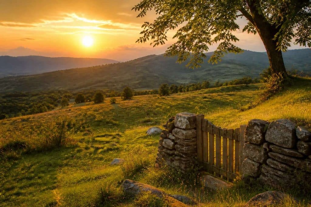 Golden Hours : le secret des photos magiques