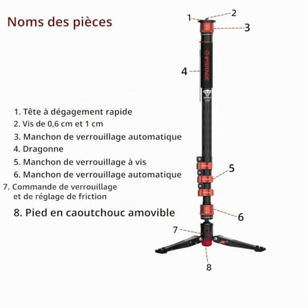 Découvrez notre test détaillé du monopode ifootage Cobra 3 C180F : stabilité, légèreté et performance pour vos productions vidéo professionnelles en fibre de carbone.