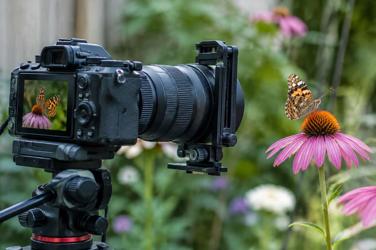 Focus bracketing : r&eacute;ussir la nettet&eacute; partout avec le stacking