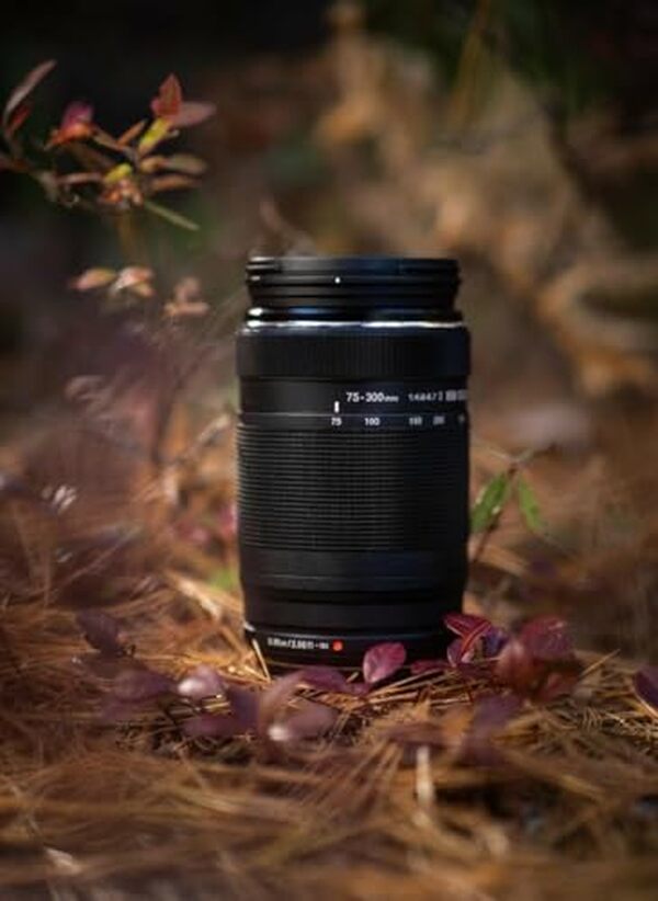 Découvrez notre test complet du OM System M.Zuiko 75-300mm : performance, qualité optique et utilisation pratique pour appareils photo MFT.