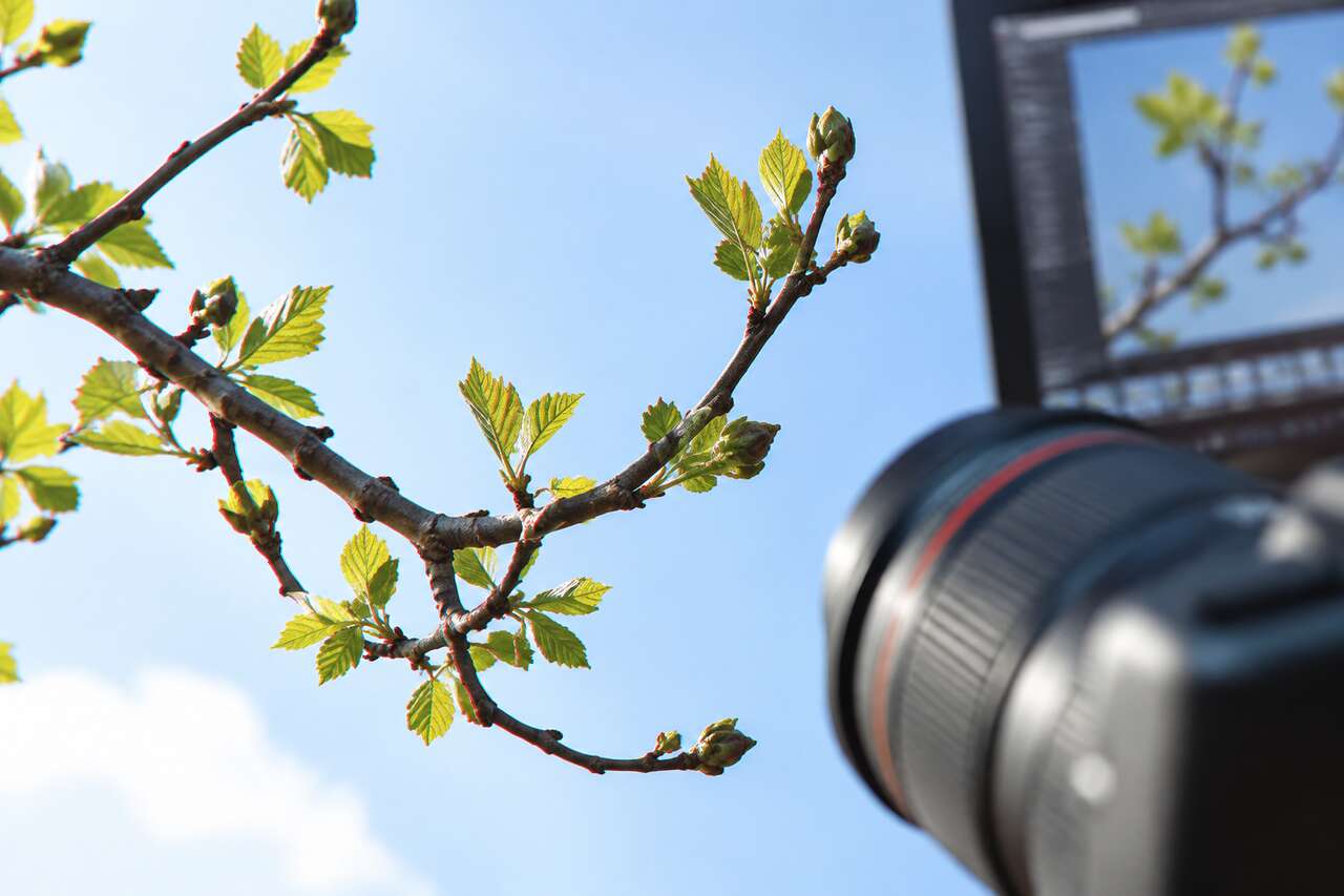 Effets visibles sur une photo : comment la reconnaître Effets visibles sur une photo : comment la reconnaître