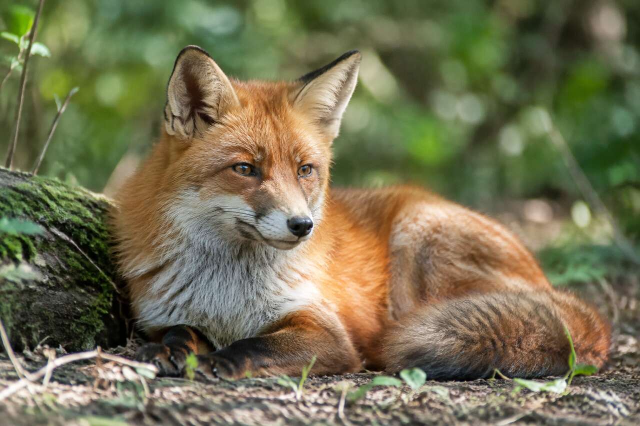 Ma&icirc;triser la lumi&egrave;re naturelle sans accessoires