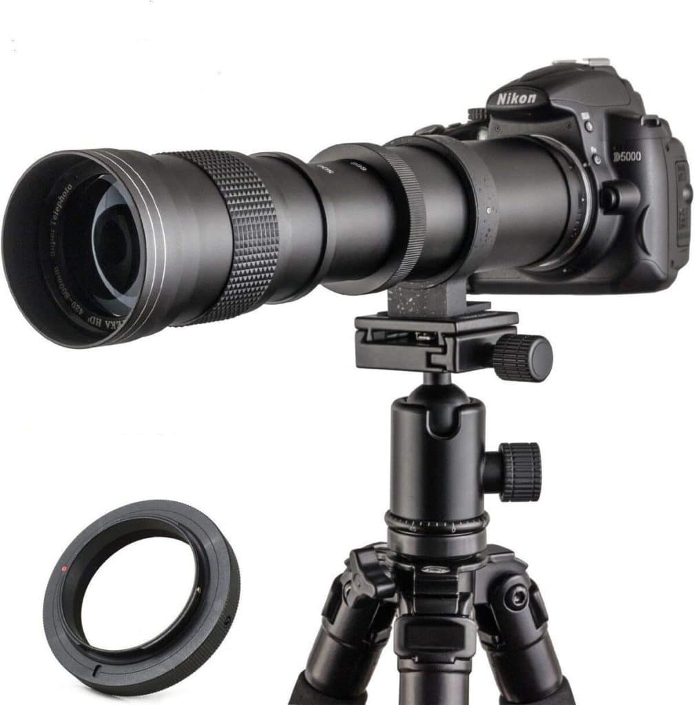 Test de l'objectif Jintu 420-800 mm pour reflex Nikon : notre avis complet