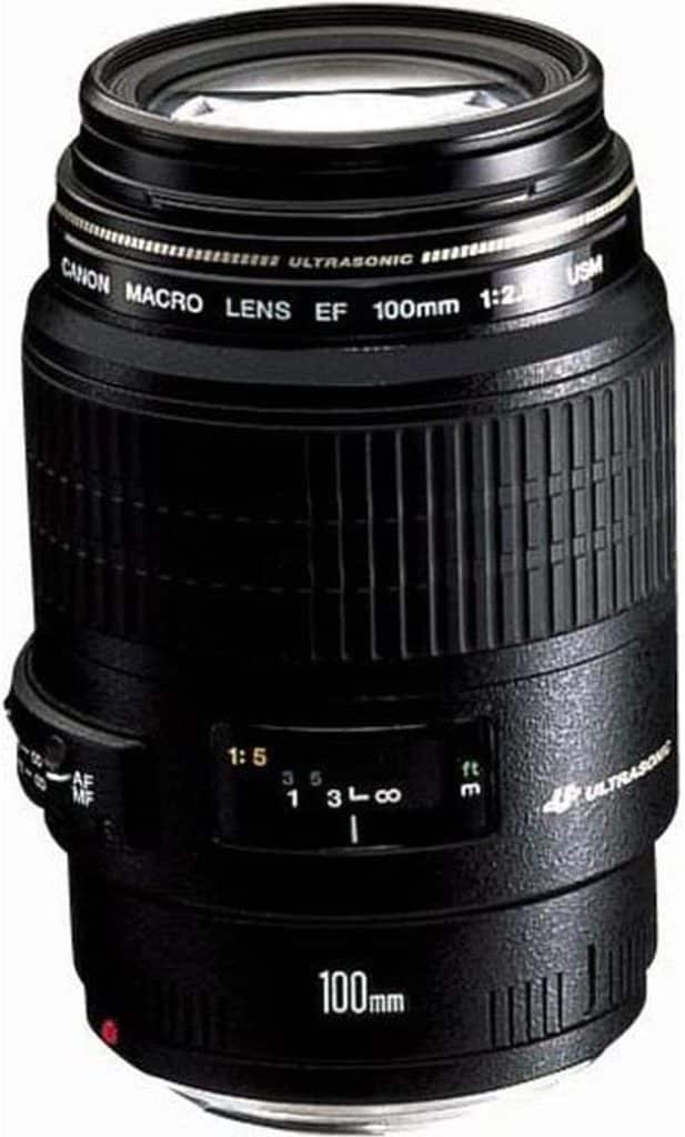 Test de l'objectif macro Canon EF 100 mm f/2.8 USM reconditionné