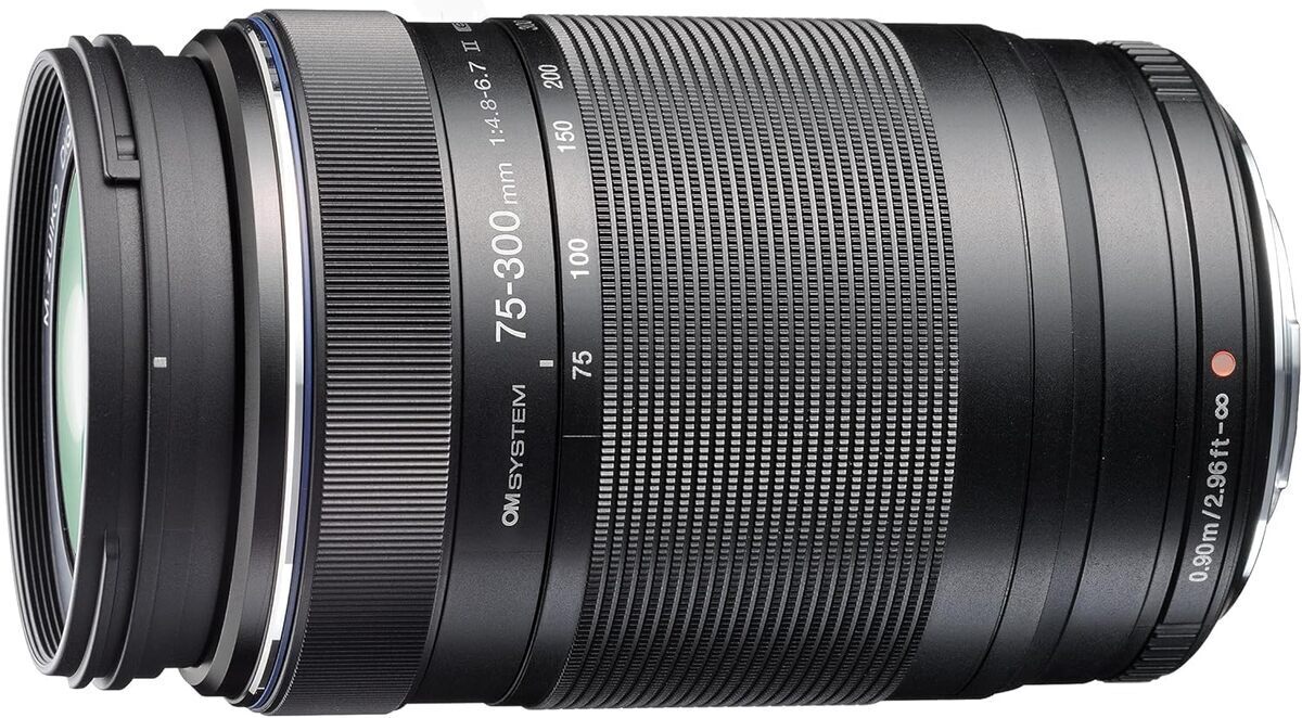 Test : om system M.Zuiko digital 75-300mm pour appareils photo MFT